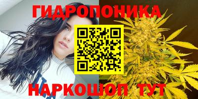 гидропоника Ливны