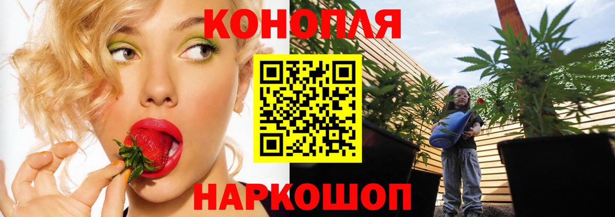 МАРИХУАНА ГИДРОПОН Ирбит